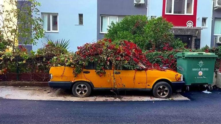 Hayalet otomobil sokak kedilerine yuva olmuştu 8 yılda doğanın parçası oldu...