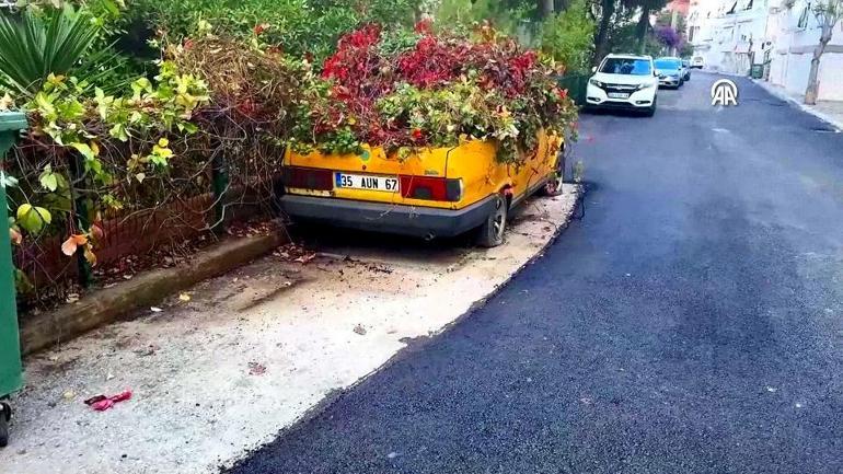 Hayalet otomobil sokak kedilerine yuva olmuştu 8 yılda doğanın parçası oldu...