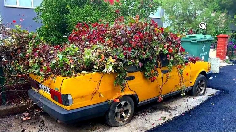 Hayalet otomobil sokak kedilerine yuva olmuştu 8 yılda doğanın parçası oldu...
