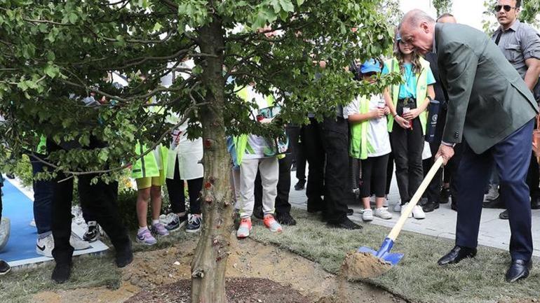  14 milyon fidan toprakla buluştu