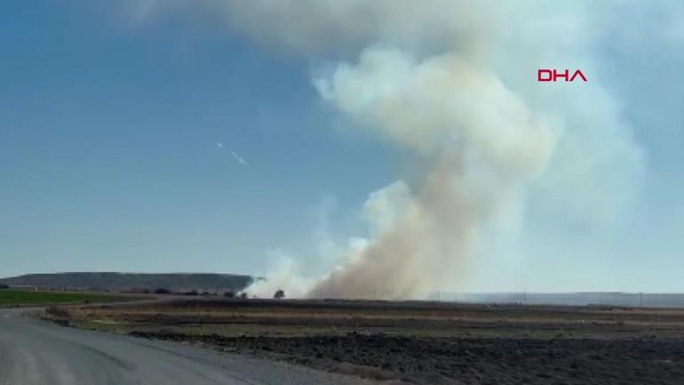 Kuş cenneti Gökgöl sazlıkları alev alev yanıyor