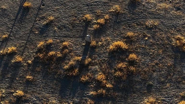 Köy reddetti, mezarlık kabul etmedi