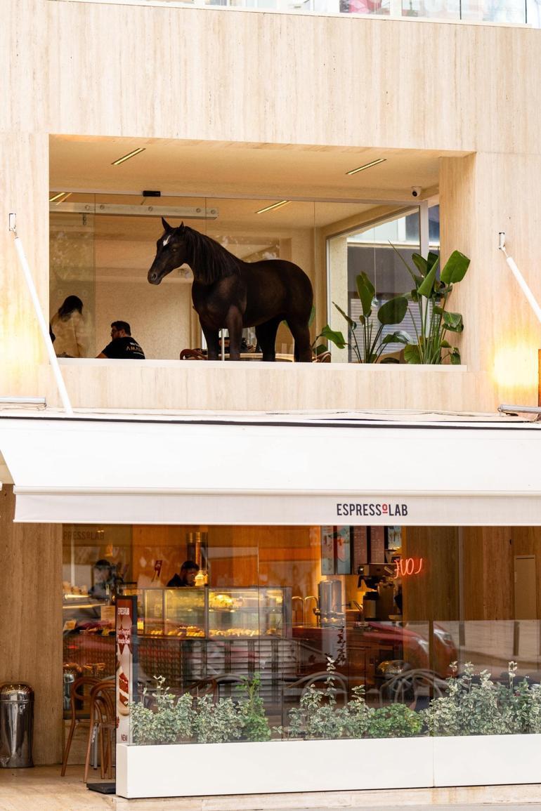 Espressolab’ın animatronik kahvesi