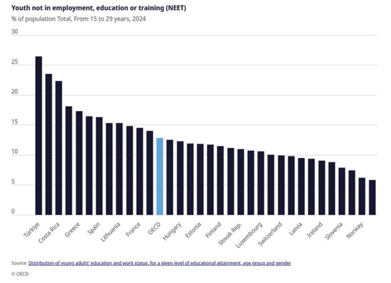NEET gençlerin karanlık gerçeği Hande Fırat kaleme aldı...