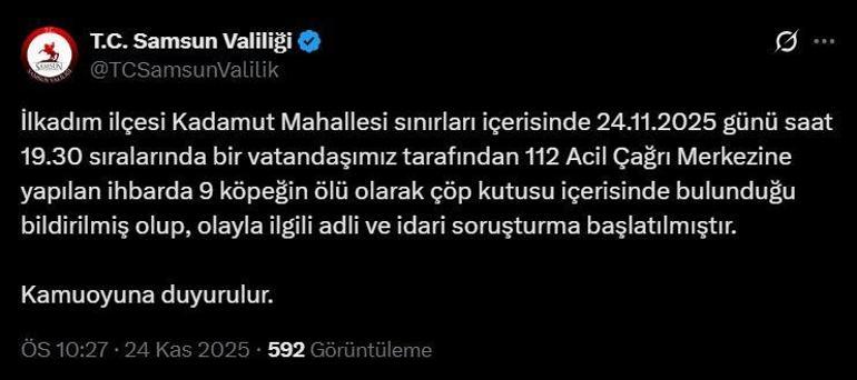 Samsunda kan donduran olay 9 köpek silahla vurulmuş halde bulundu