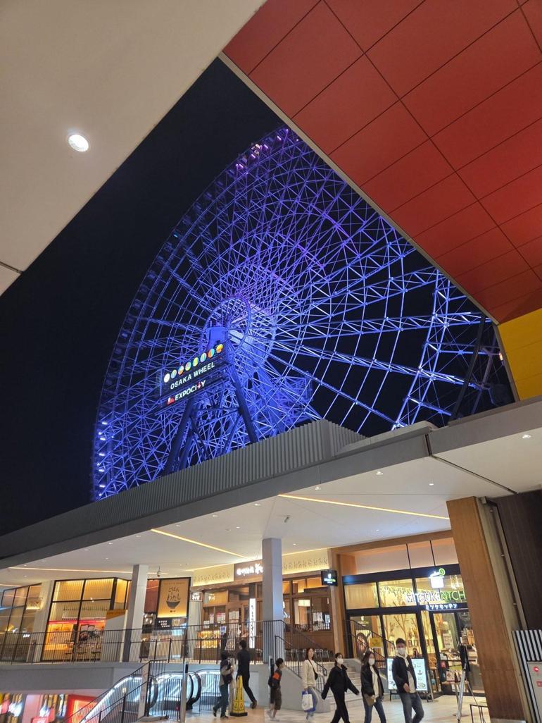 Yıldırım düştü, dönme dolap durdu 20 kişi saatlerce mahsur kaldı...