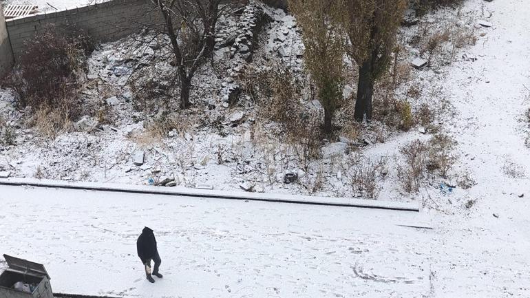 Karsa mevsimin ilk karı düştü