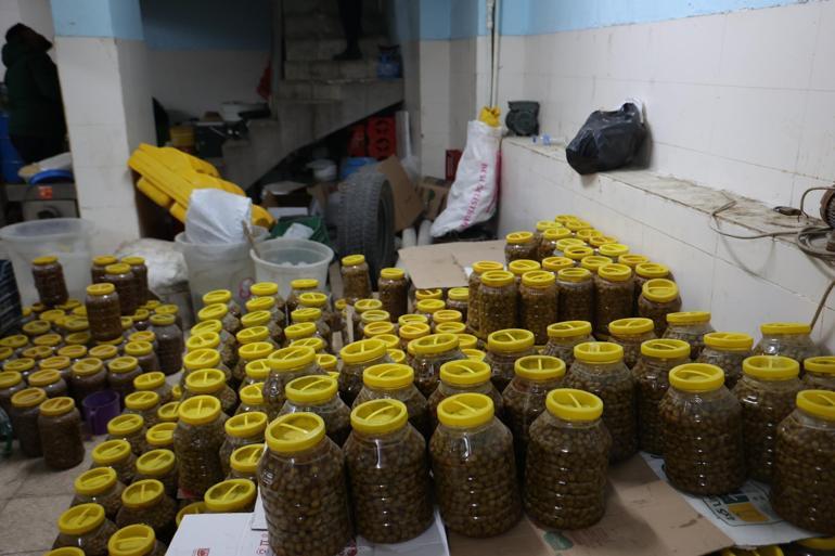 ÖLÜ FARELER ARASINDA ÜRETİM Kiliste mide bulandıran görüntüler