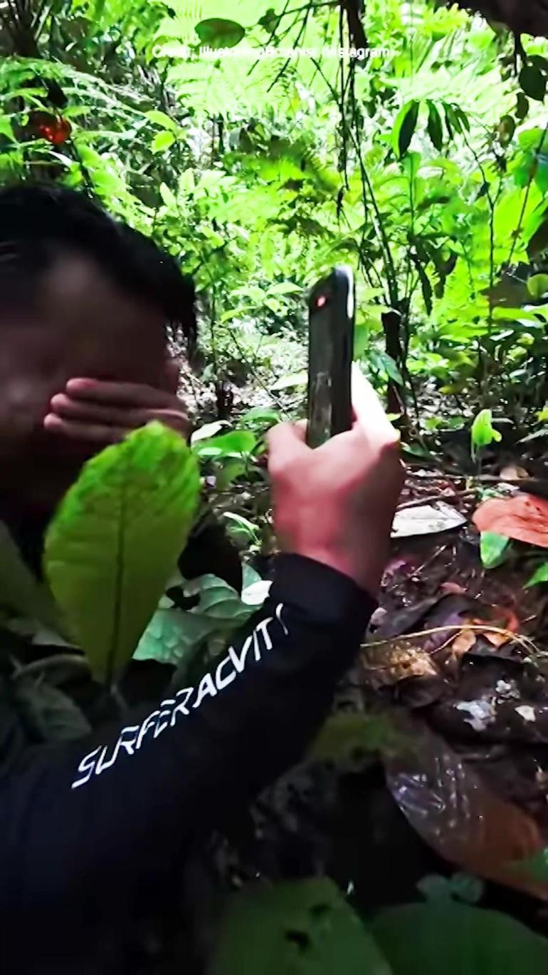 13 yıllık arayış gözyaşları ile son buldu: Nadir çiçeği bulunca önünde hıçkıra hıçkıra ağladı