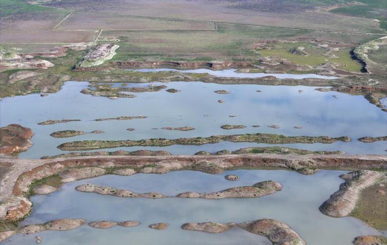  Yüzde 1in altına düştü