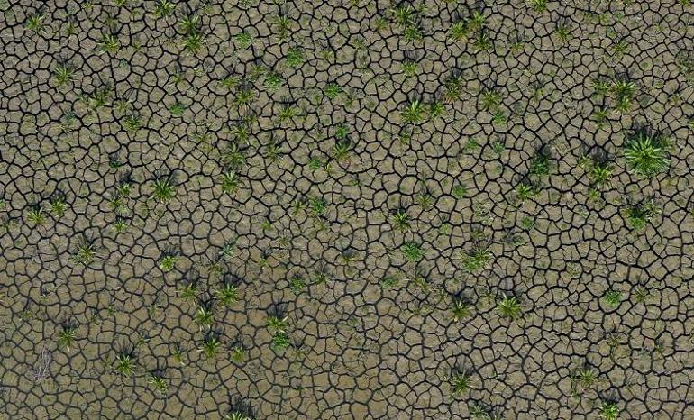  Yüzde 1in altına düştü