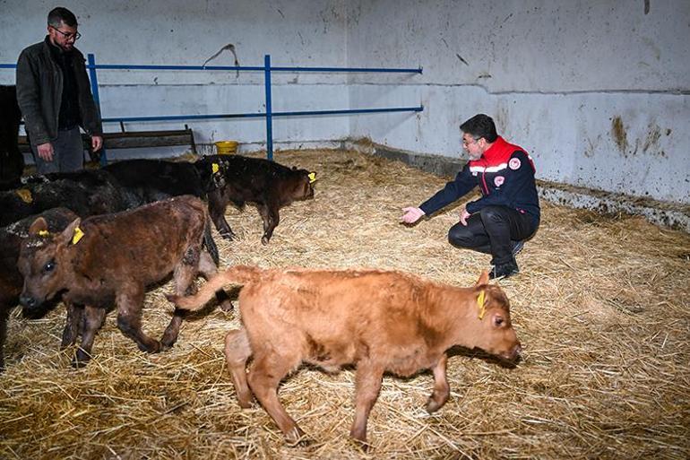 Tarım ve Orman Bakanı Yumaklıdan kırmızı et açıklaması