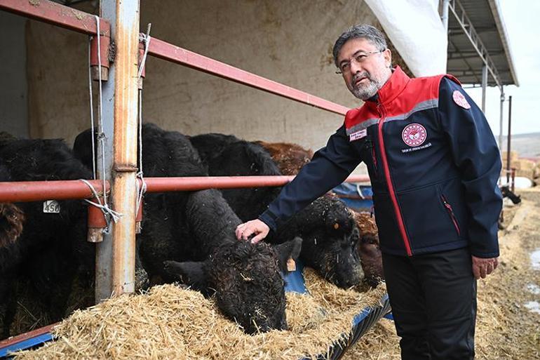 Tarım ve Orman Bakanı Yumaklıdan kırmızı et açıklaması