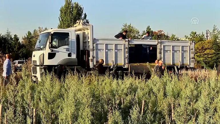 Zirai ilaçlar kontrolsüz satılamayacak