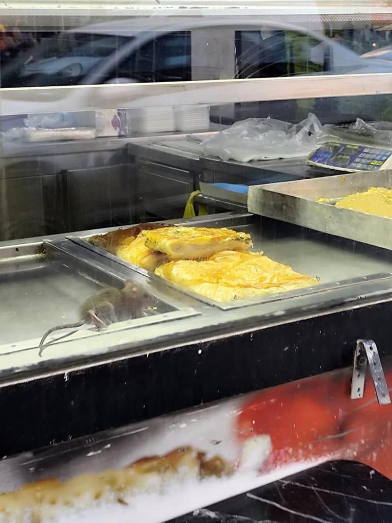 Böreklerin üzerinde fare gezdi