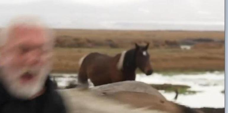  Az kalsın nalları dikiyordum