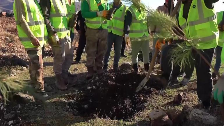Türkiyenin petrol üssü Gabar’a yeşil hamle