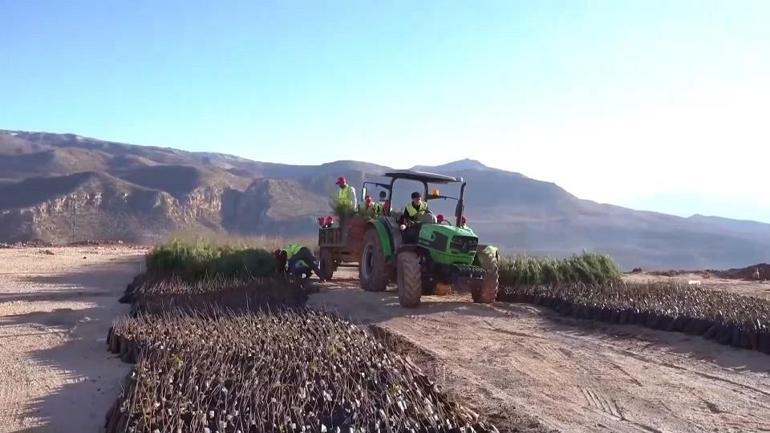 Türkiyenin petrol üssüne yeşil hamle