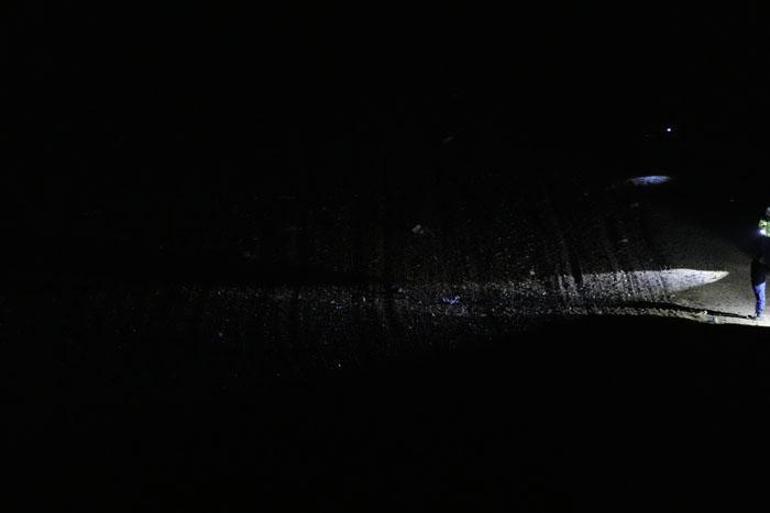  Heyetin tamamı hayatını kaybetti