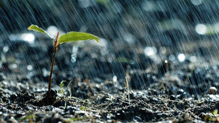  Yağışlar alarm veriyor, tarım risk altında