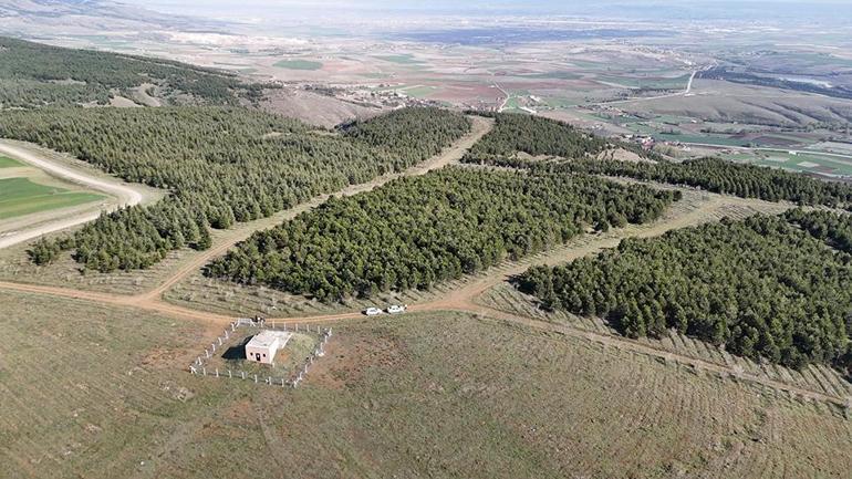 Her satırı kan dondurdu Önce boğdu sonra 2 gün art arda yaktı