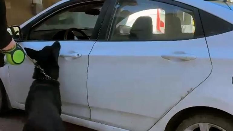 “Babamı ziyarete gidiyordum” dedi, aracı zehir deposu çıktı