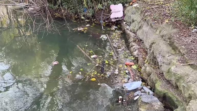 Bakırköydeki botanik park kaderine terk edildi