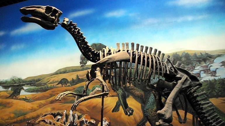 Sivrisinekler dinozor DNAsı mı taşıyor Jurassic Park haklı çıktı