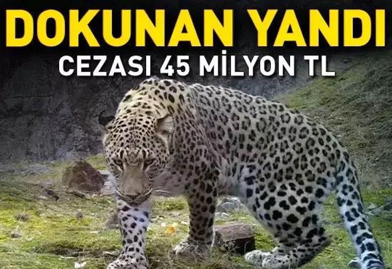 8 Ocak 2026 Perşembe gününün son dakika önemli gelişmeleri (CNN TÜRK 11.30 bülteni)