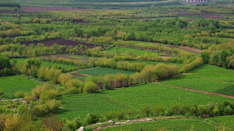 Yatırımcılarına dikkat: Arsa fiyatlarında sürpriz tablo İşte değerine değer katan 5 şehir...