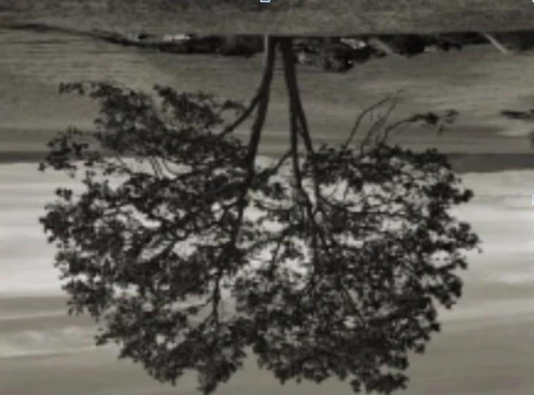 “Unsettled” grup sergisi, Vision Art Platform’da