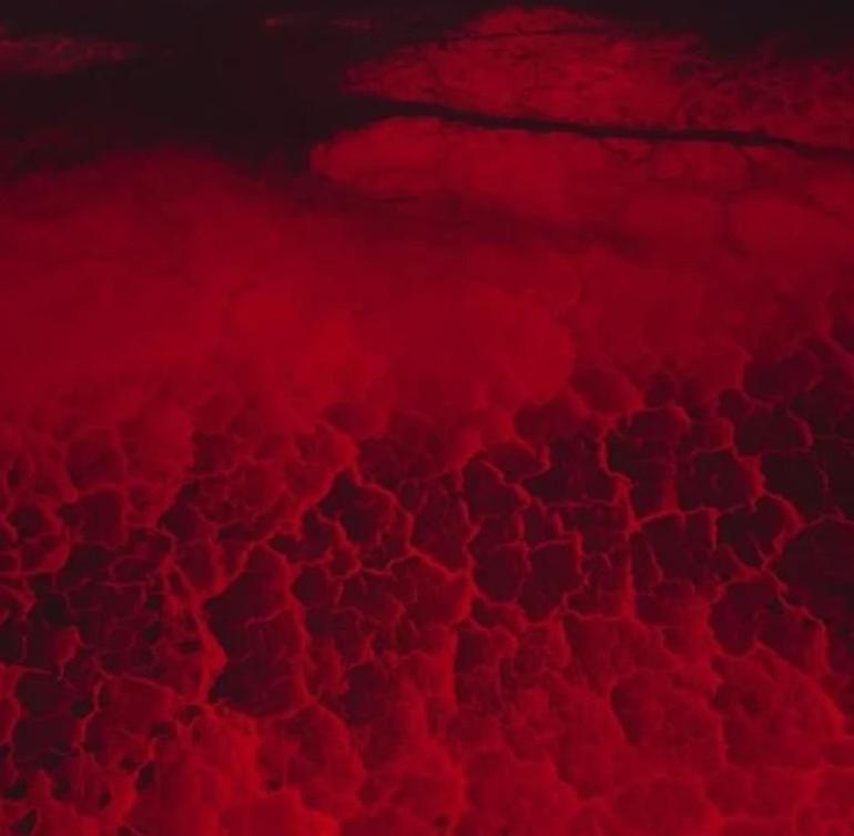 “Unsettled” grup sergisi, Vision Art Platform’da