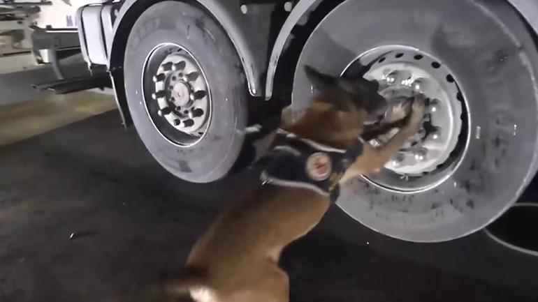 Zehir tacirlerine büyük darbe