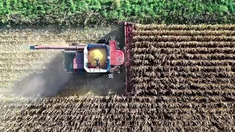 Artan yem ve buğday fiyatına önlem