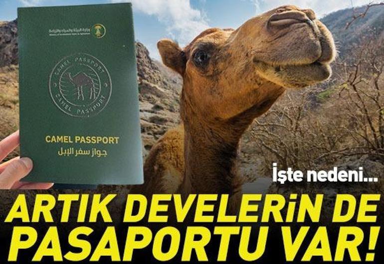 5 Şubat 2026 Perşembe gününün son dakika önemli gelişmeleri (CNN TÜRK 16.30 bülteni)