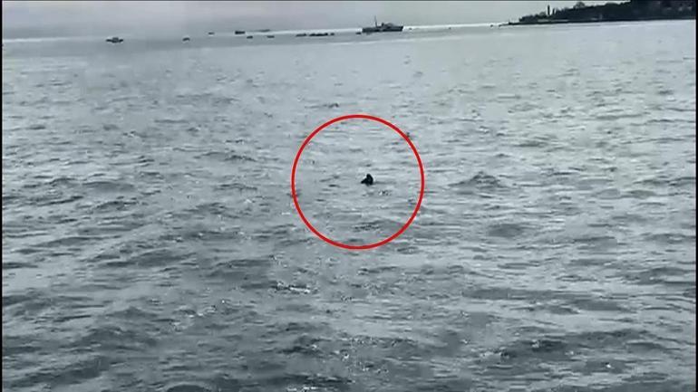 Vapurdan denize düştü Eminönü–Üsküdar hattında can pazarı