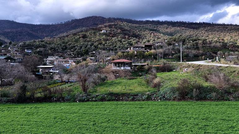  Cavit amcanın artık yüzü gülüyor