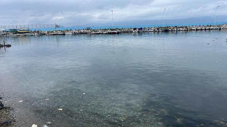  Ölmek istiyordu, ben de ittim