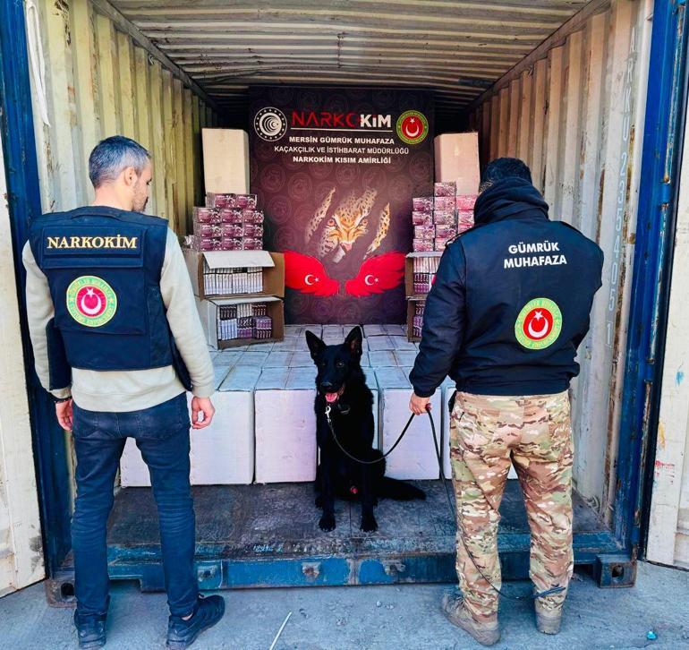 Üç gümrük kapısında 4,6 milyar liralık uyuşturucu ele geçirdi