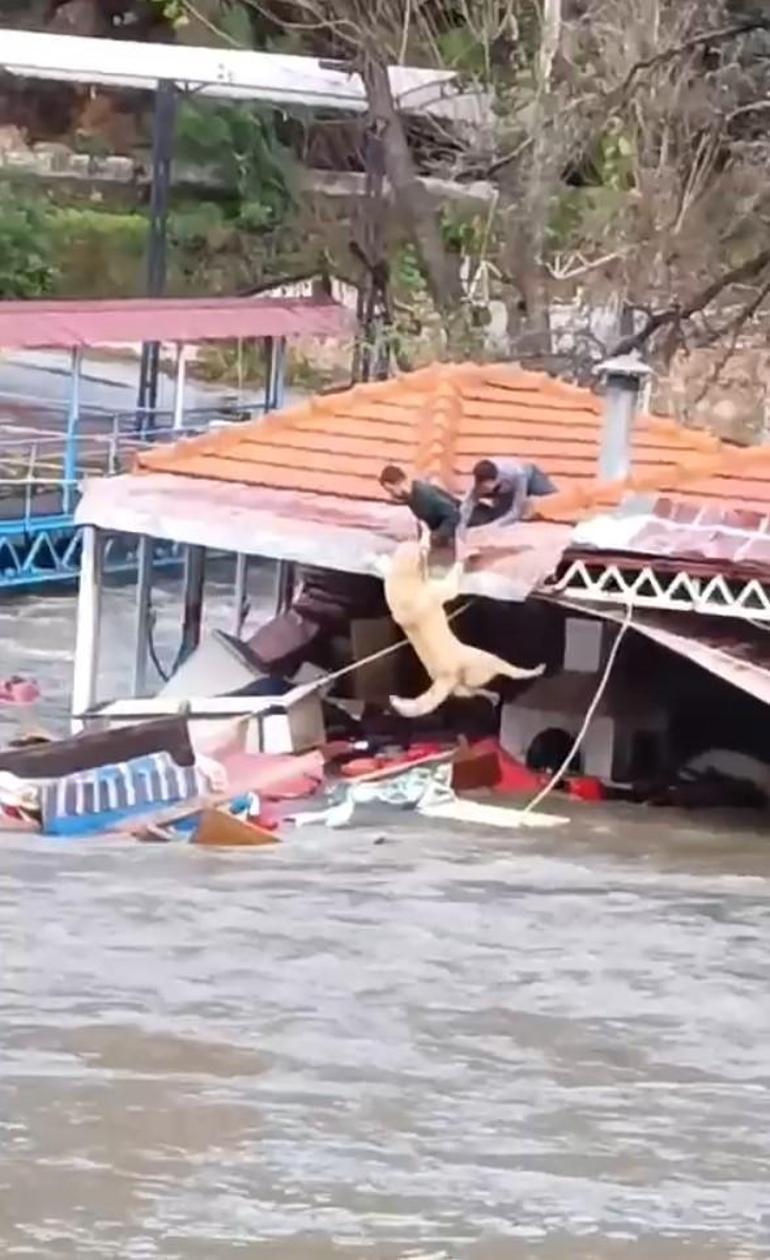  Alanyada işletme akıntıya kapıldı