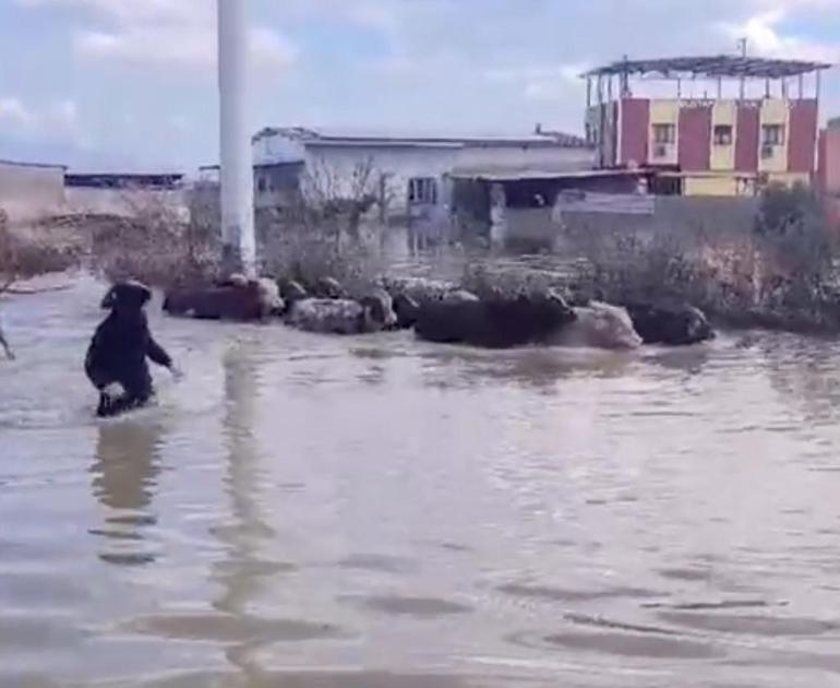 4 il sular altında kaldı