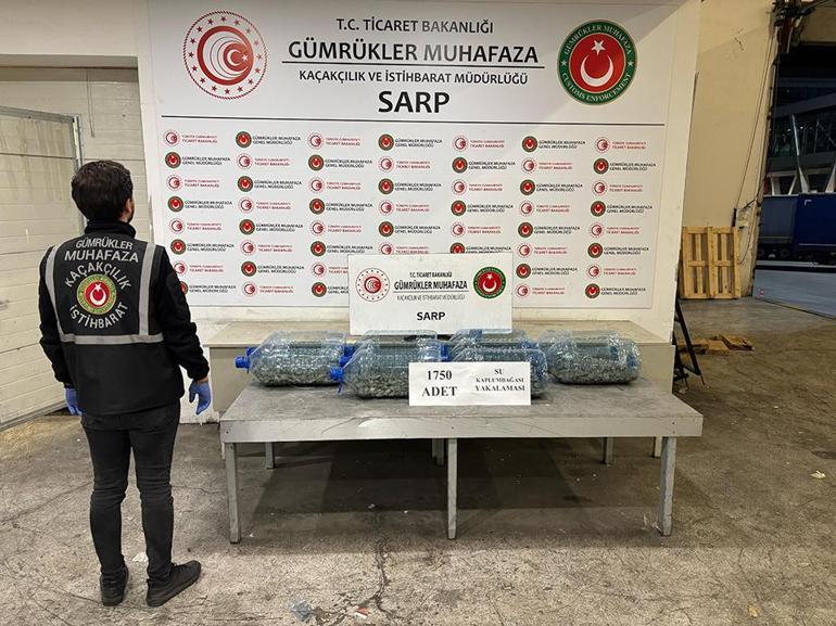 Ticaret Bakanlığı 85 binden fazla canlı hayvan ele geçirdi