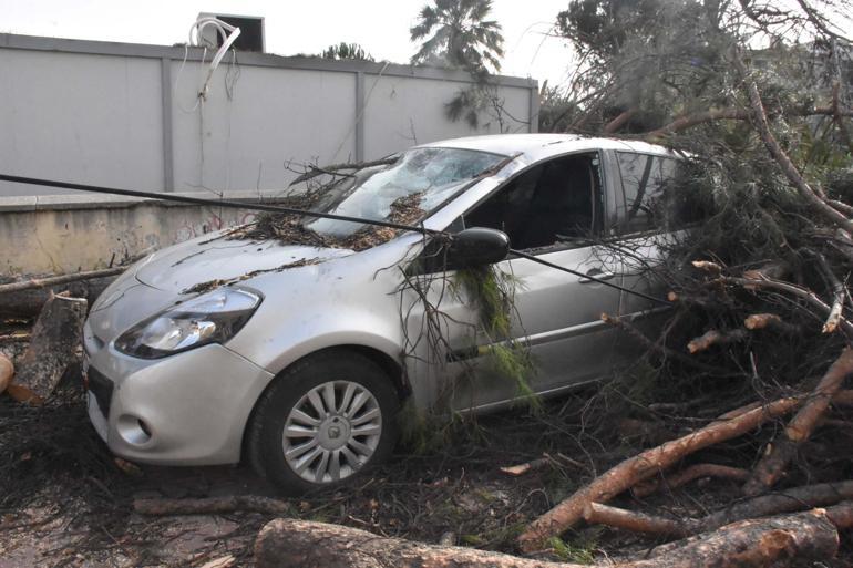Park halindeki otomobilin üzerine ağaç devirdi
