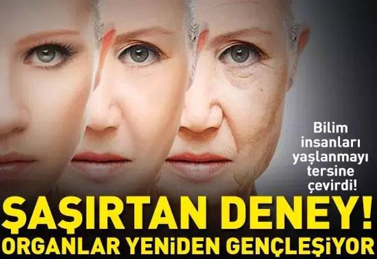 19 Şubat 2026 Perşembe gününün son dakika önemli gelişmeleri (CNN TÜRK 11.30 bülteni)