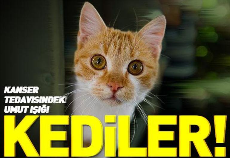 20 Şubat 2026 Cuma gününün son dakika önemli gelişmeleri (CNN TÜRK 11.30 bülteni)