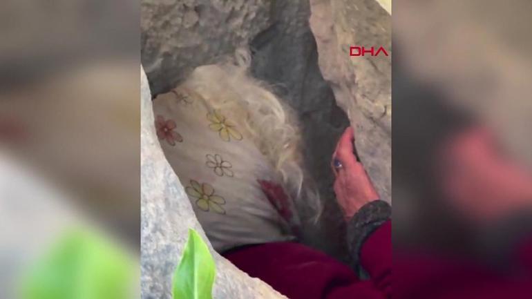 Hayvanlarını otlatırken kaybolmuştu, 1 gün sonra kayalıklarda sıkışmış halde bulundu