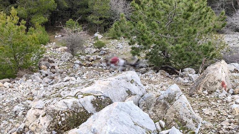 Eşi ve oğlu dahil 9 kişi gözaltında