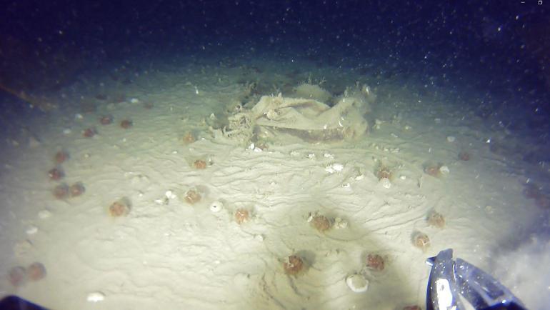 THYnin Bursa uçağından yeni izler bulundu