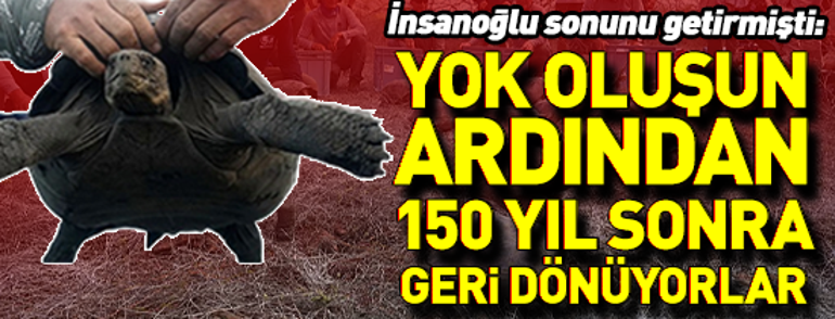 24 Şubat 2026 Salı gününün son dakika önemli gelişmeleri (CNN TÜRK 16.30 bülteni)