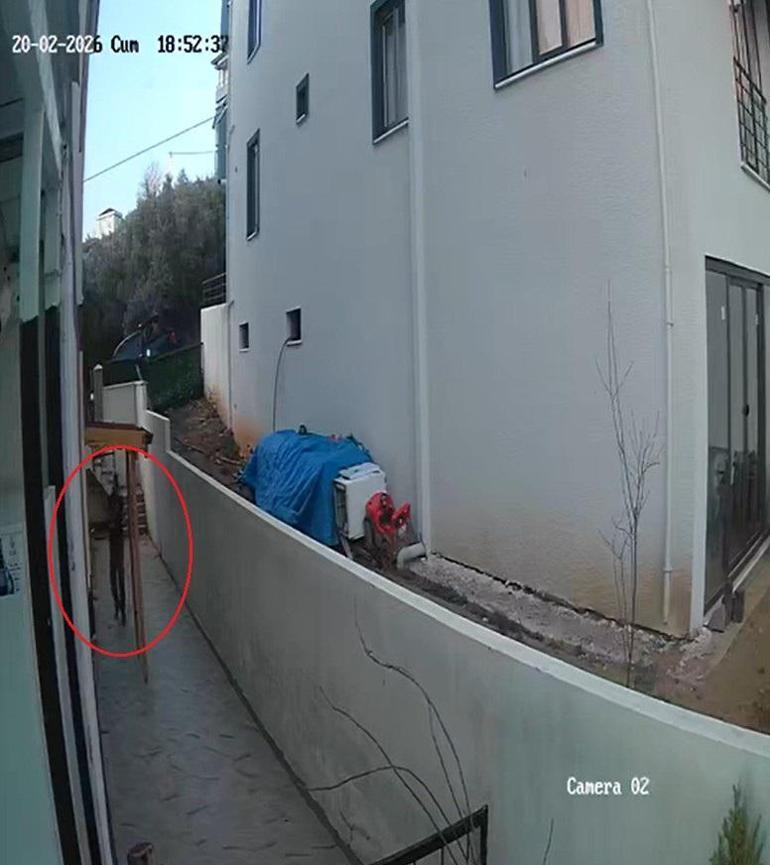 Türkiye babası ve 14 aylık İkra bebeği konuşuyor Görüntüler ortaya çıktı